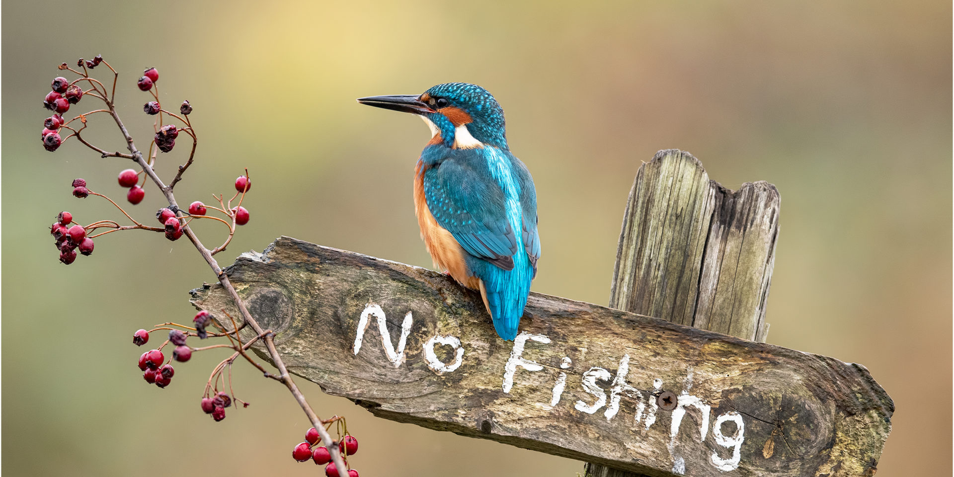 Keswick Photographic Society&#8217;s Annual Photography Exhibition