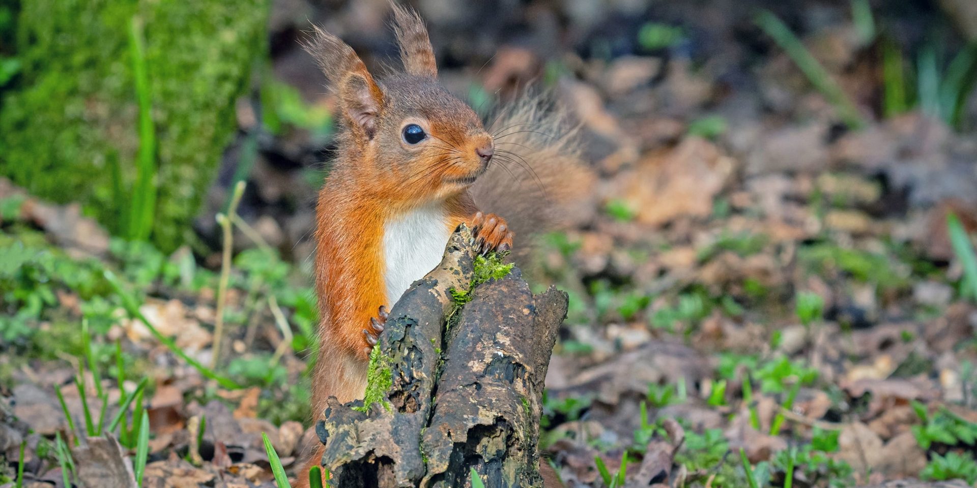 Keswick Photographic Society&#8217;s Annual Photography Exhibition